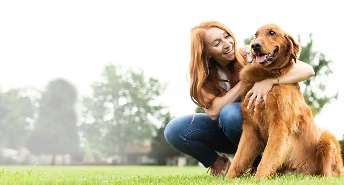 best-pet-insurance