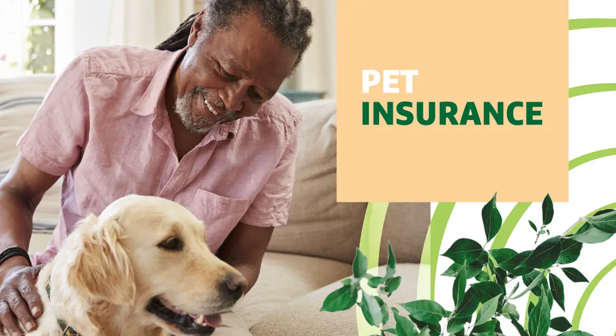 does geico offer pet insurance