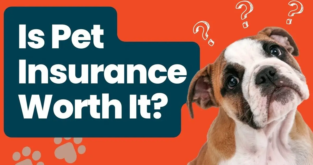 is pet insurance worth it